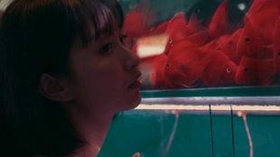 吃瓜少女向佐,揭秘向佐的星途历程