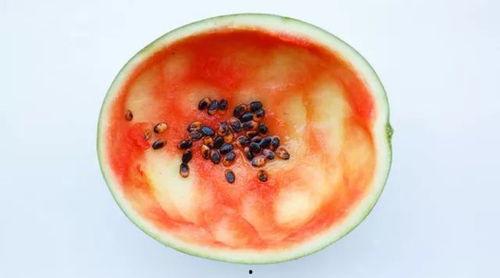 吃瓜用勺子吃瓜,趣味横生的夏日消暑新风尚